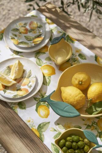 Taniere_na_predjedlo_2ks_odp.cena_9.99--Misa_odp.cena_22.99